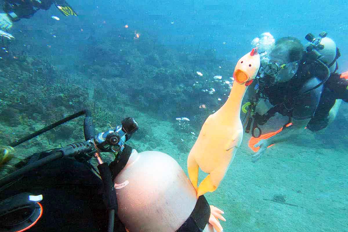 Scuba Diver in St Kitts